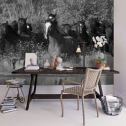 Galerie Wallcoverings Product Code: G45278 - Global Fusion Wallpaper Collection Galerie Wallcoverings Product Code G45278 - Global Fusion Wallpaper Collection -