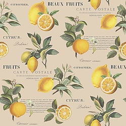 Galerie Wallcoverings Product Code: G45410 - Just Kitchens Wallpaper Collection Galerie Wallcoverings Product Code G45410 - Just Kitchens Wallpaper Collection - Taupe Colours - Citron Botanical Design