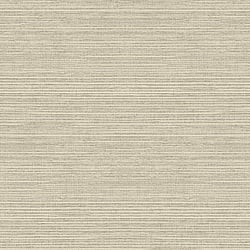 Galerie Wallcoverings Product Code: G45419 - Natural FX 2 Wallpaper Collection Galerie Wallcoverings Product Code G45419 - Natural FX 2 Wallpaper Collection - Beige Colours - Grasscloth Design