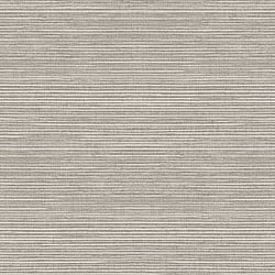 Galerie Wallcoverings Product Code: G45420 - Natural FX 2 Wallpaper Collection Galerie Wallcoverings Product Code G45420 - Natural FX 2 Wallpaper Collection - Grey Colours - Grasscloth Design