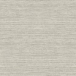 Galerie Wallcoverings Product Code: G45421 - Natural FX 2 Wallpaper Collection Galerie Wallcoverings Product Code G45421 - Natural FX 2 Wallpaper Collection - Grey Colours - Grasscloth Design