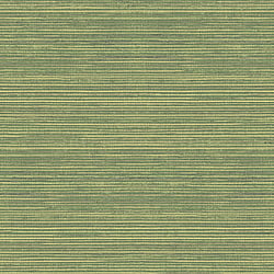 Galerie Wallcoverings Product Code: G45422 - Natural FX 2 Wallpaper Collection Galerie Wallcoverings Product Code G45422 - Natural FX 2 Wallpaper Collection - Green Colours - Grasscloth Design