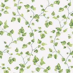 Galerie Wallcoverings Product Code: G45431 - Just Kitchens Wallpaper Collection Galerie Wallcoverings Product Code G45431 - Just Kitchens Wallpaper Collection - Green Colours - Just Ivy Design