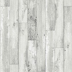 Galerie Wallcoverings Product Code: G56166 - Memories 2 Wallpaper Collection Galerie Wallcoverings Product Code G56166 - Memories 2 Wallpaper Collection -
