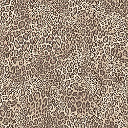 Galerie Wallcoverings Product Code: G56234 - Steampunk Wallpaper Collection Galerie Wallcoverings Product Code G56234 - Steampunk Wallpaper Collection -