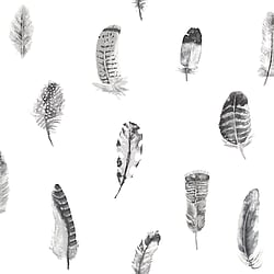 Galerie Wallcoverings Product Code: G56403 - Global Fusion Wallpaper Collection Galerie Wallcoverings Product Code G56403 - Global Fusion Wallpaper Collection - Feathers Design