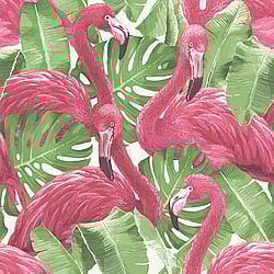 Galerie Wallcoverings Product Code: G56406 - Global Fusion Wallpaper Collection Galerie Wallcoverings Product Code G56406 - Global Fusion Wallpaper Collection - Flamingos Design
