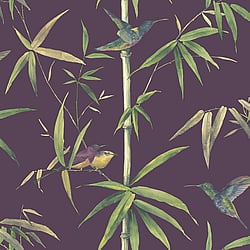 Galerie Wallcoverings Product Code: G56410 - Global Fusion Wallpaper Collection Galerie Wallcoverings Product Code G56410 - Global Fusion Wallpaper Collection - Humming Birds Design