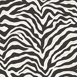 Galerie Wallcoverings Product Code: G67491 - Natural FX 2 Wallpaper Collection Galerie Wallcoverings Product Code G67491 - Natural FX 2 Wallpaper Collection - Zebra Design