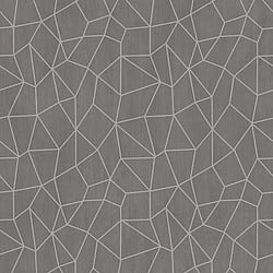 Galerie Wallcoverings Product Code: G67698 - Special FX 2 Wallpaper Collection Galerie Wallcoverings Product Code G67698 - Special FX 2 Wallpaper Collection - Silver Grey Beige Colours - Glitter Web Design