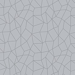 Galerie Wallcoverings Product Code: G67699 - Special FX 2 Wallpaper Collection Galerie Wallcoverings Product Code G67699 - Special FX 2 Wallpaper Collection - Silver Grey Colours - Glitter Web Design