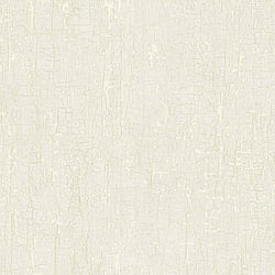Galerie Wallcoverings Product Code: G67747 - Natural FX 2 Wallpaper Collection Galerie Wallcoverings Product Code G67747 - Natural FX 2 Wallpaper Collection - White Colours - Bark Design