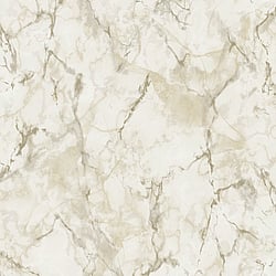 Galerie Wallcoverings Product Code: G67753 - Natural FX 2 Wallpaper Collection Galerie Wallcoverings Product Code G67753 - Natural FX 2 Wallpaper Collection - Beige Colours - Marble Design
