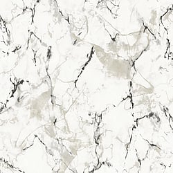 Galerie Wallcoverings Product Code: G67758 - Natural FX 2 Wallpaper Collection Galerie Wallcoverings Product Code G67758 - Natural FX 2 Wallpaper Collection - Silver Grey Colours - Marble Design