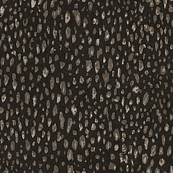 Galerie Wallcoverings Product Code: G67759 - Natural FX 2 Wallpaper Collection Galerie Wallcoverings Product Code G67759 - Natural FX 2 Wallpaper Collection - Dark Brown Colours - Leopard Design