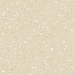Galerie Wallcoverings Product Code: G67869 - Miniatures 2 Wallpaper Collection Galerie Wallcoverings Product Code G67869 - Miniatures 2 Wallpaper Collection - Cream White Colours - Cow Parsley Design