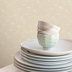 Galerie Wallcoverings Product Code: G67869 - Miniatures 2 Wallpaper Collection Galerie Wallcoverings Product Code G67869 - Miniatures 2 Wallpaper Collection - Cream White Colours - Cow Parsley Design