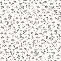 Galerie Wallcoverings Product Code: G67870 - Miniatures 2 Wallpaper Collection Galerie Wallcoverings Product Code G67870 - Miniatures 2 Wallpaper Collection - White Black Grey Colours - Cow Parsley Design