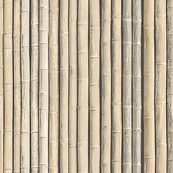 Galerie Wallcoverings Product Code: G67940 - Organic Textures Wallpaper Collection Galerie Wallcoverings Product Code G67940 - Organic Textures Wallpaper Collection - Brown Colours - Bamboo Design