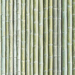 Galerie Wallcoverings Product Code: G67941 - Organic Textures Wallpaper Collection Galerie Wallcoverings Product Code G67941 - Organic Textures Wallpaper Collection - Green Colours - Bamboo Design