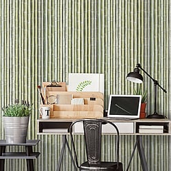 Galerie Wallcoverings Product Code: G67941 - Organic Textures Wallpaper Collection Galerie Wallcoverings Product Code G67941 - Organic Textures Wallpaper Collection - Green Colours - Bamboo Design