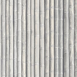 Galerie Wallcoverings Product Code: G67942 - Organic Textures Wallpaper Collection Galerie Wallcoverings Product Code G67942 - Organic Textures Wallpaper Collection - Grey Colours - Bamboo Design