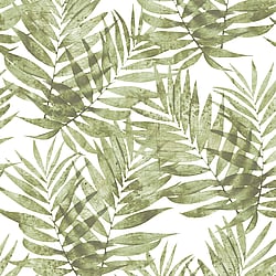 Galerie Wallcoverings Product Code: G67944 - Organic Textures Wallpaper Collection Galerie Wallcoverings Product Code G67944 - Organic Textures Wallpaper Collection - Green White Colours - Speckled Palm Design
