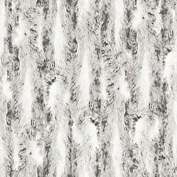 Galerie Wallcoverings Product Code: G67948 - Organic Textures Wallpaper Collection Galerie Wallcoverings Product Code G67948 - Organic Textures Wallpaper Collection - Black Grey Colours - Chinchilla Fur Design