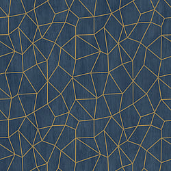 Galerie Wallcoverings Product Code: G68082 - Special FX 2 Wallpaper Collection Galerie Wallcoverings Product Code G68082 - Special FX 2 Wallpaper Collection - Gold, Navy Colours - Glitter Web Design
