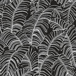 Galerie Wallcoverings Product Code: G78297 - Bazaar Wallpaper Collection Galerie Wallcoverings Product Code G78297 - Bazaar Wallpaper Collection - Monochrome Colours - Broadleaf Design