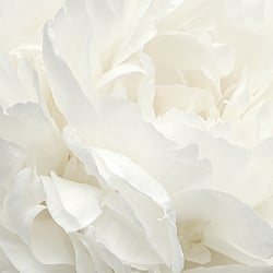 Galerie Wallcoverings Product Code: G78424 - Atmosphere Wallpaper Collection Galerie Wallcoverings Product Code G78424 - Atmosphere Wallpaper Collection -