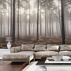 Galerie Wallcoverings Product Code: G78426 - Atmosphere Wallpaper Collection Galerie Wallcoverings Product Code G78426 - Atmosphere Wallpaper Collection -