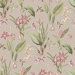 Galerie Wallcoverings Product Code: G78507 - Secret Garden Wallpaper Collection Galerie Wallcoverings Product Code G78507 - Secret Garden Wallpaper Collection - Cottage Botanical Design
