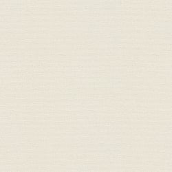 Galerie Wallcoverings Product Code: HV41000 - Blooming Wild Wallpaper Collection Galerie Wallcoverings Product Code HV41000 - Blooming Wild Wallpaper Collection - Cream Colours - Havana Plain Texture Design