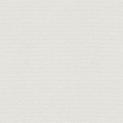 Galerie Wallcoverings Product Code: HV41002 - Blooming Wild Wallpaper Collection Galerie Wallcoverings Product Code HV41002 - Blooming Wild Wallpaper Collection - White Colours - Havana Plain Texture Design
