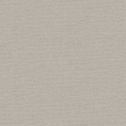 Galerie Wallcoverings Product Code: HV41005 - Blooming Wild Wallpaper Collection Galerie Wallcoverings Product Code HV41005 - Blooming Wild Wallpaper Collection - Grey Colours - Havana Plain Texture Design