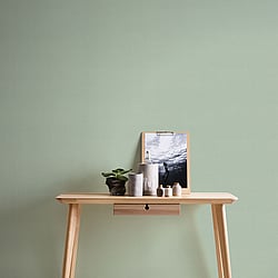 Galerie Wallcoverings Product Code: HV41018 - Blooming Wild Wallpaper Collection Galerie Wallcoverings Product Code HV41018 - Blooming Wild Wallpaper Collection - Green Colours - Havana Plain Texture Design