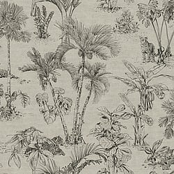 Galerie Wallcoverings Product Code: HV41022 - Havana Wallpaper Collection Galerie Wallcoverings Product Code HV41022 - Havana Wallpaper Collection - Brown Black Colours - Havana Jungle Palms Design
