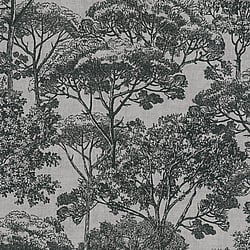 Galerie Wallcoverings Product Code: HV41031 - Havana Wallpaper Collection Galerie Wallcoverings Product Code HV41031 - Havana Wallpaper Collection - Beige Black Colours - Havana Tree Motif Design
