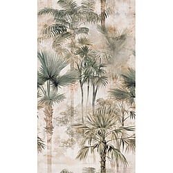 Galerie Wallcoverings Product Code HZ62086M - Horizon Wallpaper Collection - Beige Cream Green Colours - Palm Serenity Design