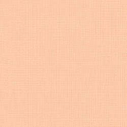 Galerie Wallcoverings Product Code: JR1004 - Jack N Rose Junior Wallpaper Collection Galerie Wallcoverings Product Code JR1004 - Jack N Rose Junior Wallpaper Collection -