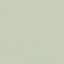 Galerie Wallcoverings Product Code: NA1105 - Nordic Elegance Wallpaper Collection Galerie Wallcoverings Product Code NA1105 - Nordic Elegance Wallpaper Collection -