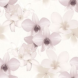 Galerie Wallcoverings Product Code: PA16830 - Paradisio Wallpaper Collection Galerie Wallcoverings Product Code PA16830 - Paradisio Wallpaper Collection -