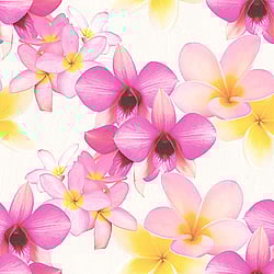 Galerie Wallcoverings Product Code: PA16831 - Paradisio Wallpaper Collection Galerie Wallcoverings Product Code PA16831 - Paradisio Wallpaper Collection -