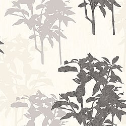Galerie Wallcoverings Product Code: PA16853 - Paradisio Wallpaper Collection Galerie Wallcoverings Product Code PA16853 - Paradisio Wallpaper Collection -
