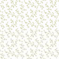 Galerie Wallcoverings Product Code: PF38112 - Pretty Prints Wallpaper Collection Galerie Wallcoverings Product Code PF38112 - Pretty Prints Wallpaper Collection - Olive Colours - Allison's Trail Design
