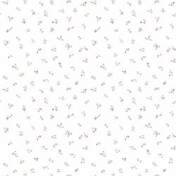 Galerie Wallcoverings Product Code: PR33815 - Floral Prints 2 Wallpaper Collection Galerie Wallcoverings Product Code PR33815 - Floral Prints 2 Wallpaper Collection -