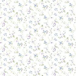 Galerie Wallcoverings Product Code: PR33823 - Floral Prints 2 Wallpaper Collection Galerie Wallcoverings Product Code PR33823 - Floral Prints 2 Wallpaper Collection -