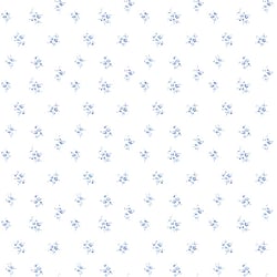 Galerie Wallcoverings Product Code: PR33841 - Floral Prints 2 Wallpaper Collection Galerie Wallcoverings Product Code PR33841 - Floral Prints 2 Wallpaper Collection -