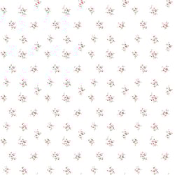 Galerie Wallcoverings Product Code: PR33842 - Floral Prints 2 Wallpaper Collection Galerie Wallcoverings Product Code PR33842 - Floral Prints 2 Wallpaper Collection -
